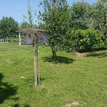 Il Carpino Bianco Bilocale Daire Puegnago Oda fotoğraf