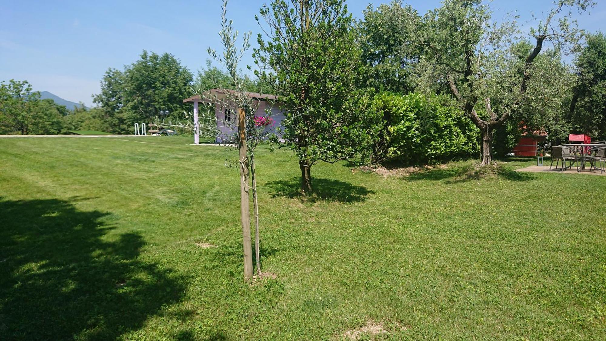 Il Carpino Bianco Bilocale Daire Puegnago Oda fotoğraf